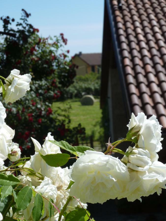B&B Cascina Marie Bricherasio Dış mekan fotoğraf